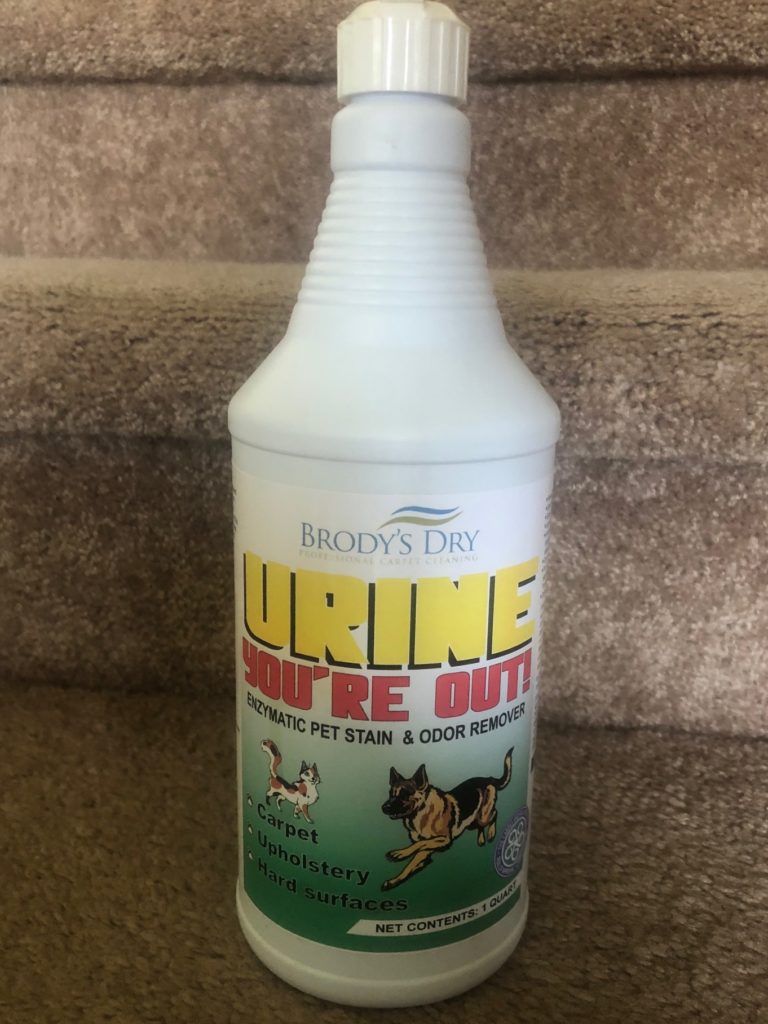 What’s that Smell? The Science Behind Your Pet’s Urine, and the Best